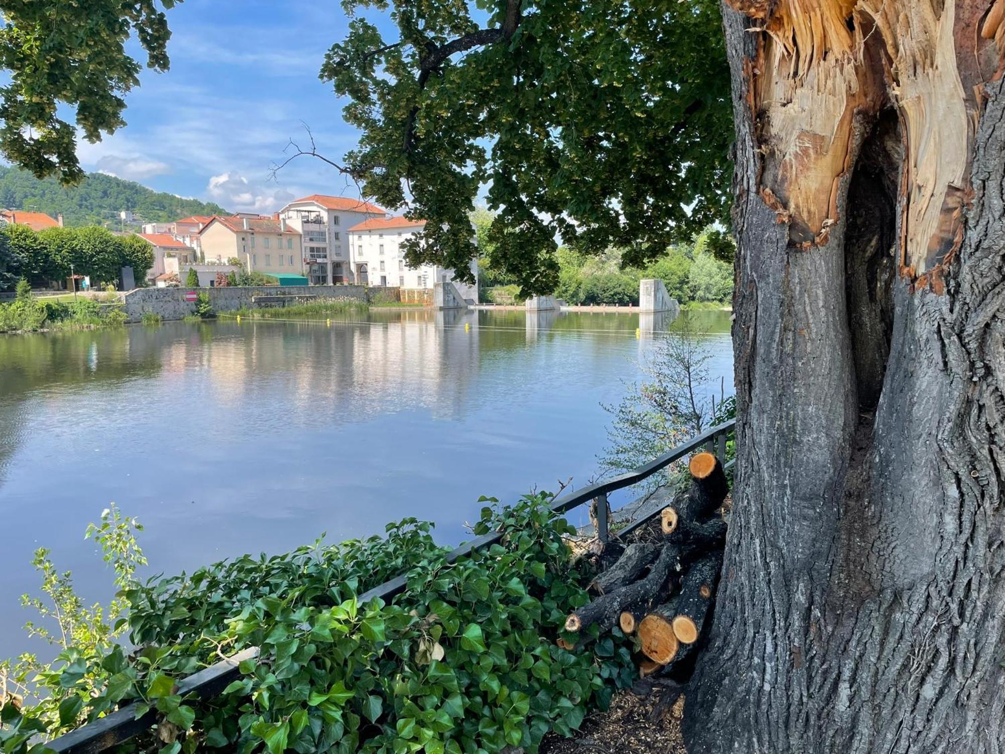 La Brivoise - Maison Calme Et Cosy , Wifi, A 5Min Du Puy Villa Brives-Charensac Bagian luar foto
